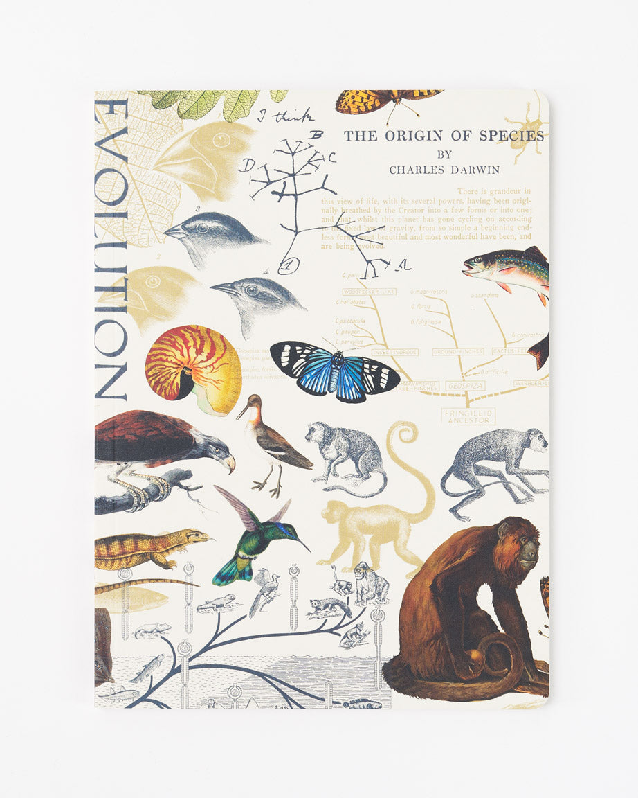 Theory of Evolution Softcover Notebook | Charles Darwin – Cognitive Surplus