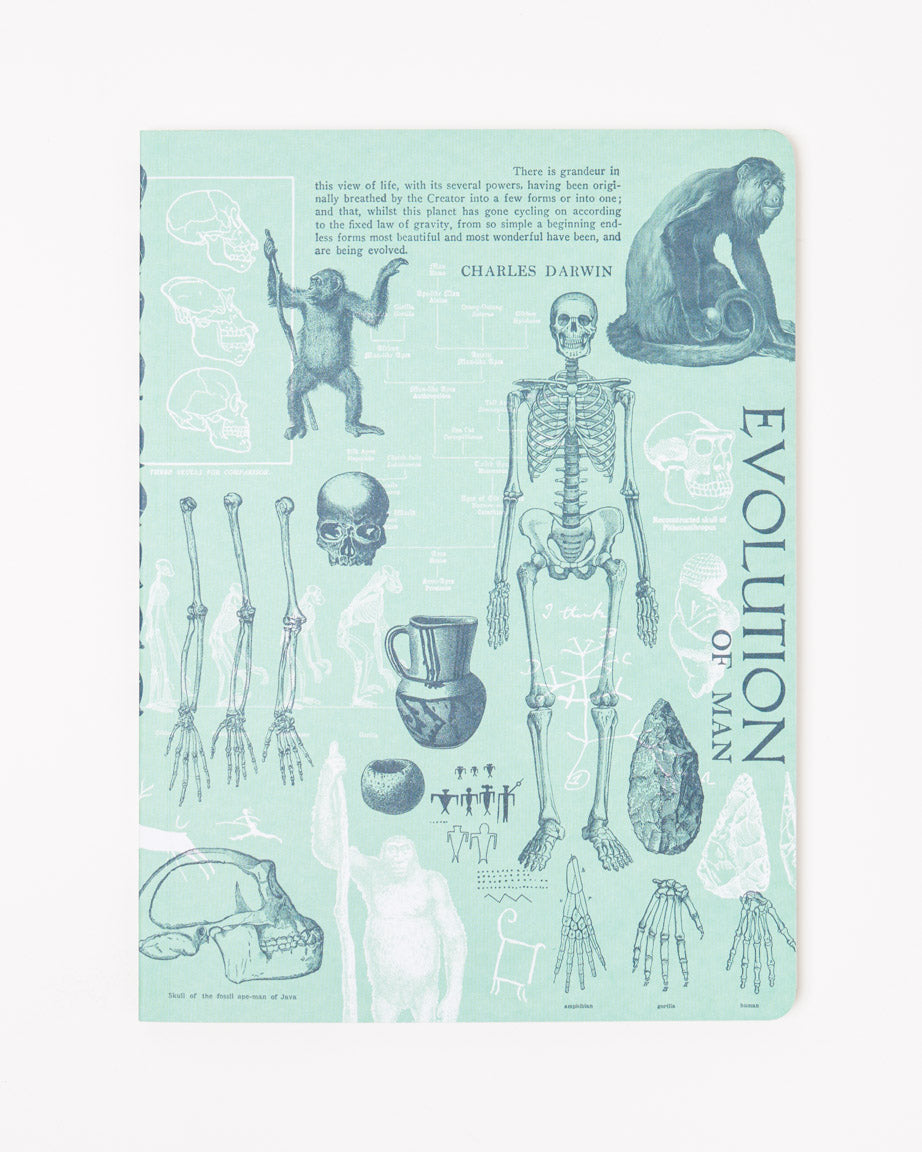 Human Evolution Softcover Notebook - Lined