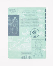 Human Evolution Softcover Notebook - Lined