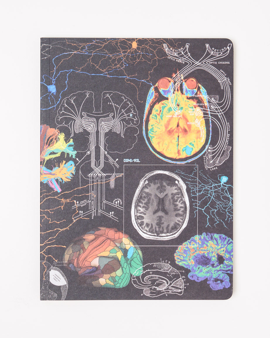 Brain Imaging Softcover Notebook - Dot Grid