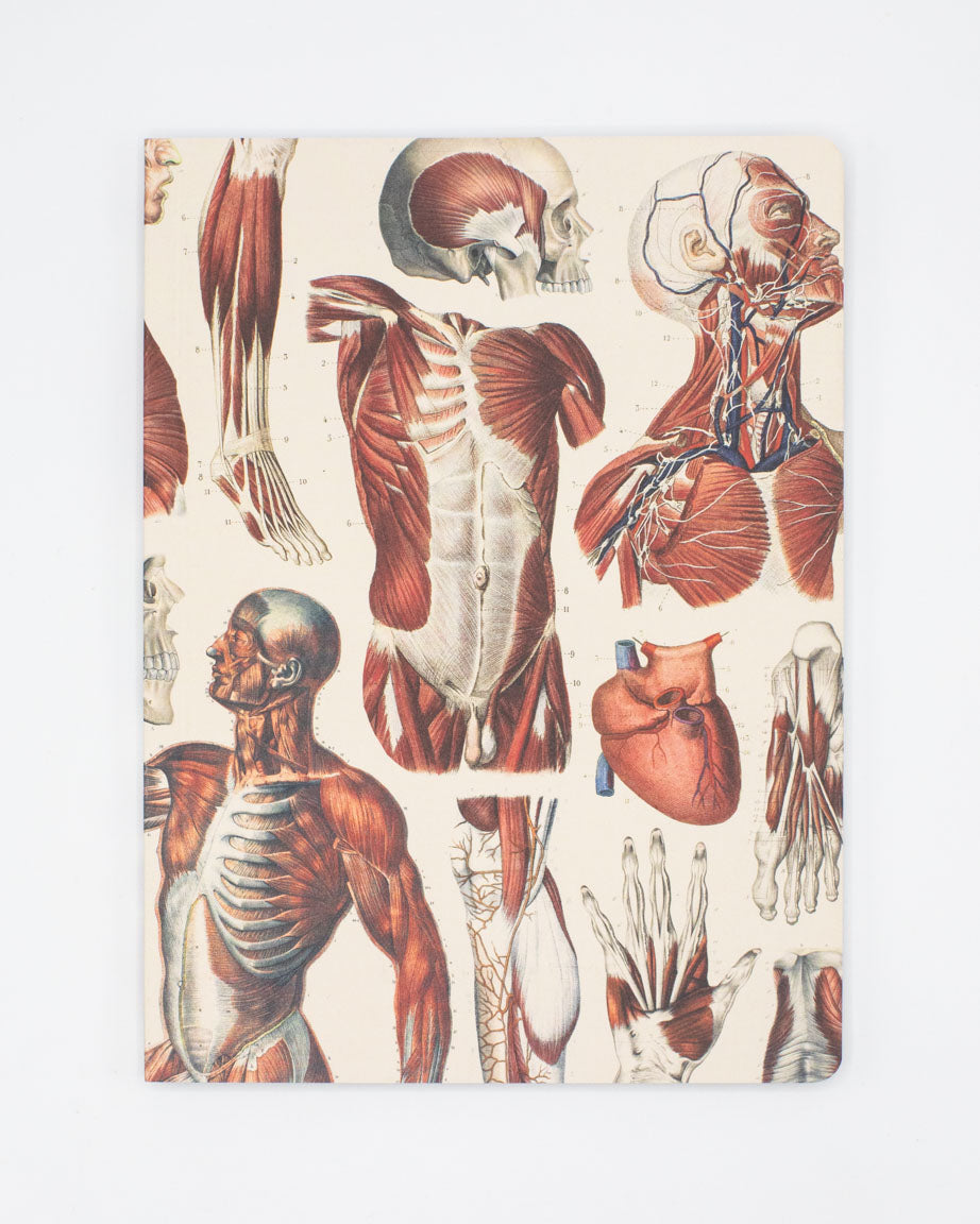 Softcover Science Notebooks - Lined Notebook | Cognitive Surplus
