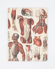 Anatomy: Muscles Softcover Notebook - Lined