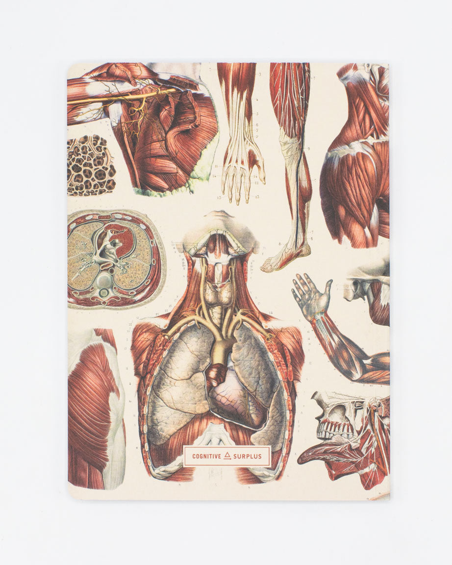 Anatomy: Muscles Softcover Notebook - Lined