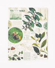 Science of Tea Softcover Notebook - Lined