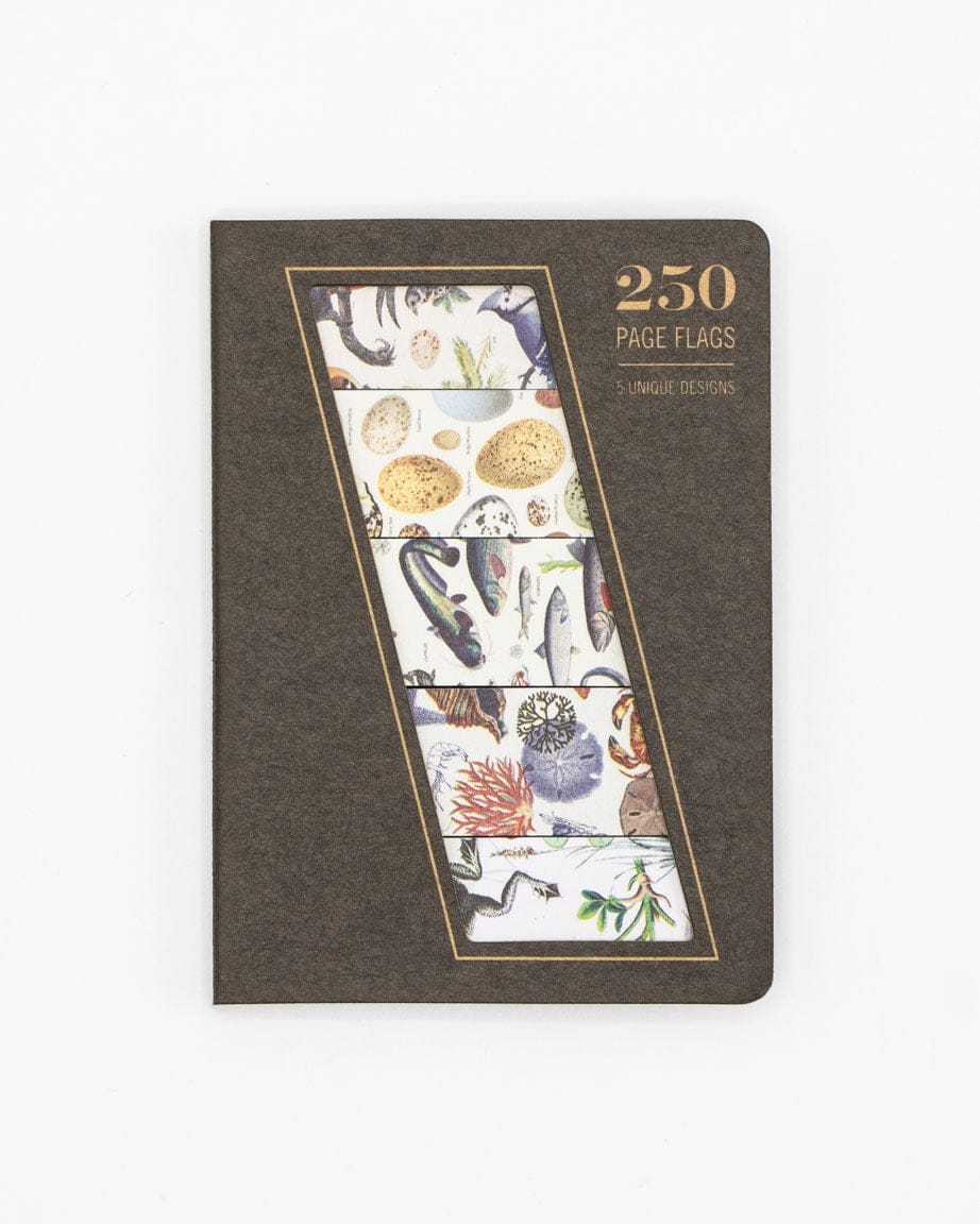 SECONDS: Shoreline Page Flags