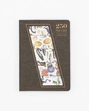 SECONDS: Shoreline Page Flags