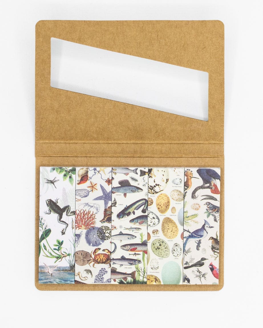 SECONDS: Shoreline Page Flags