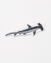 Hammerhead Shark Sticker (Squalus zygaena)