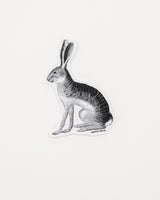 Jackrabbit Sticker (Lepus californicus)