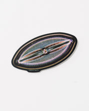 Microfossil Diatom Sticker (Lyrella hennedyi)