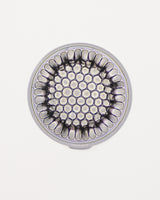 Microfossil Diatom Frustule (Stephanopyxis grunowii)
