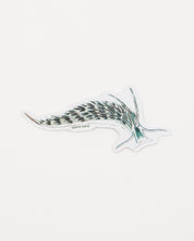 Sacoglossan Sea Slug Sticker (Elysia viridis)