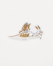 Dorid Nudibranch Sticker (Ancula gibbosa)