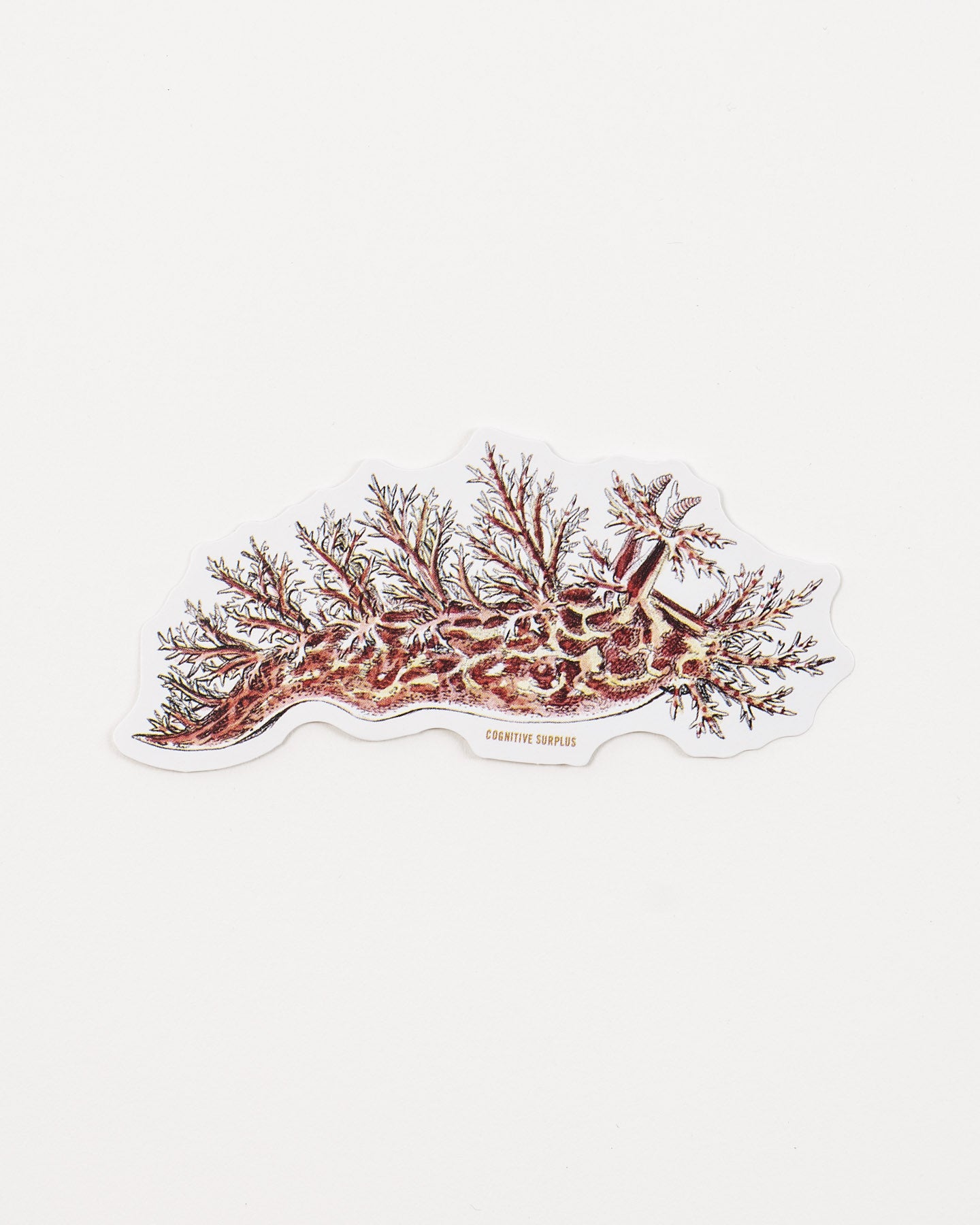 StNudi3_1.jpg