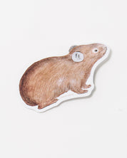 American Pika Sticker (Ochotona princeps)