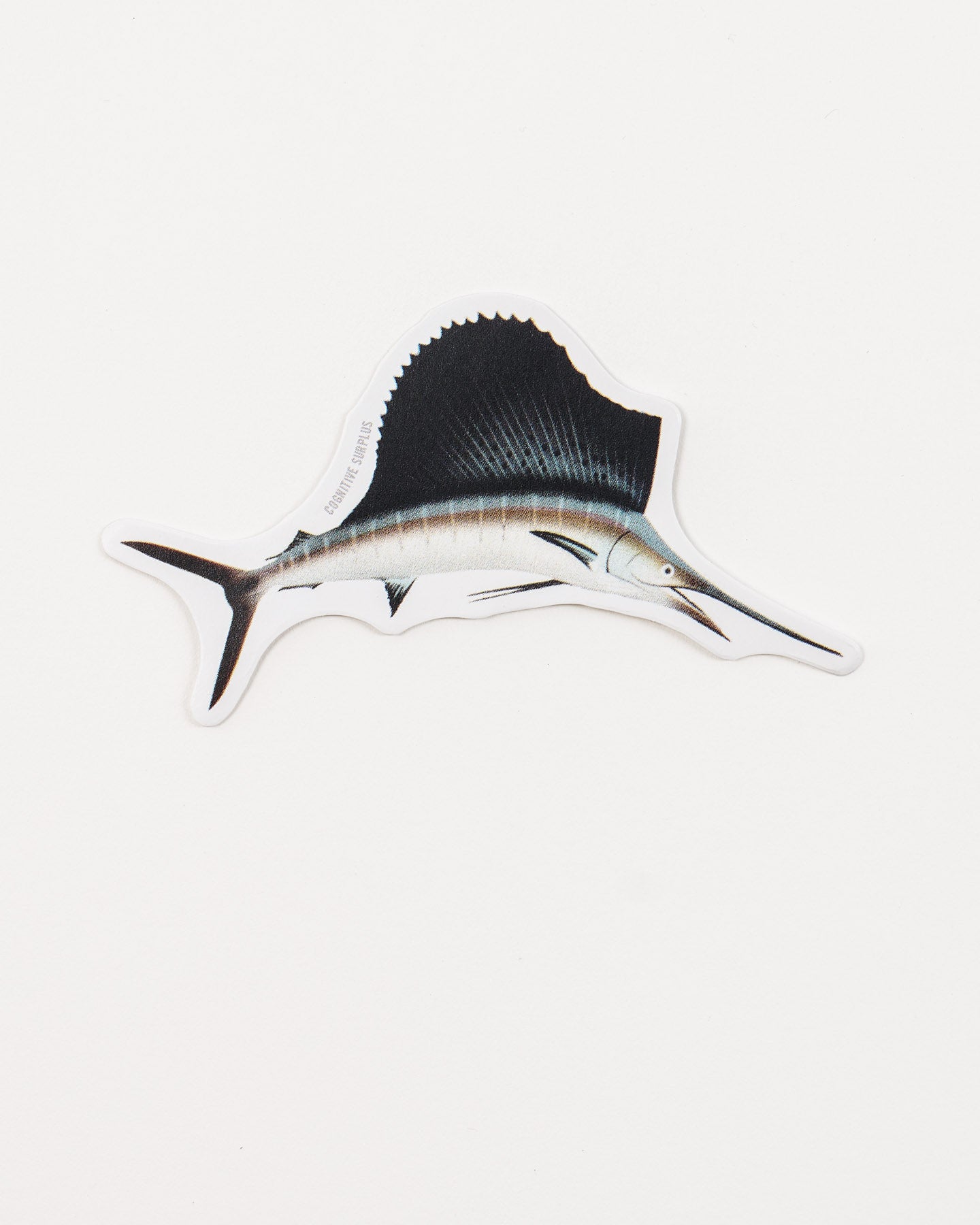 StSailFish_1.jpg