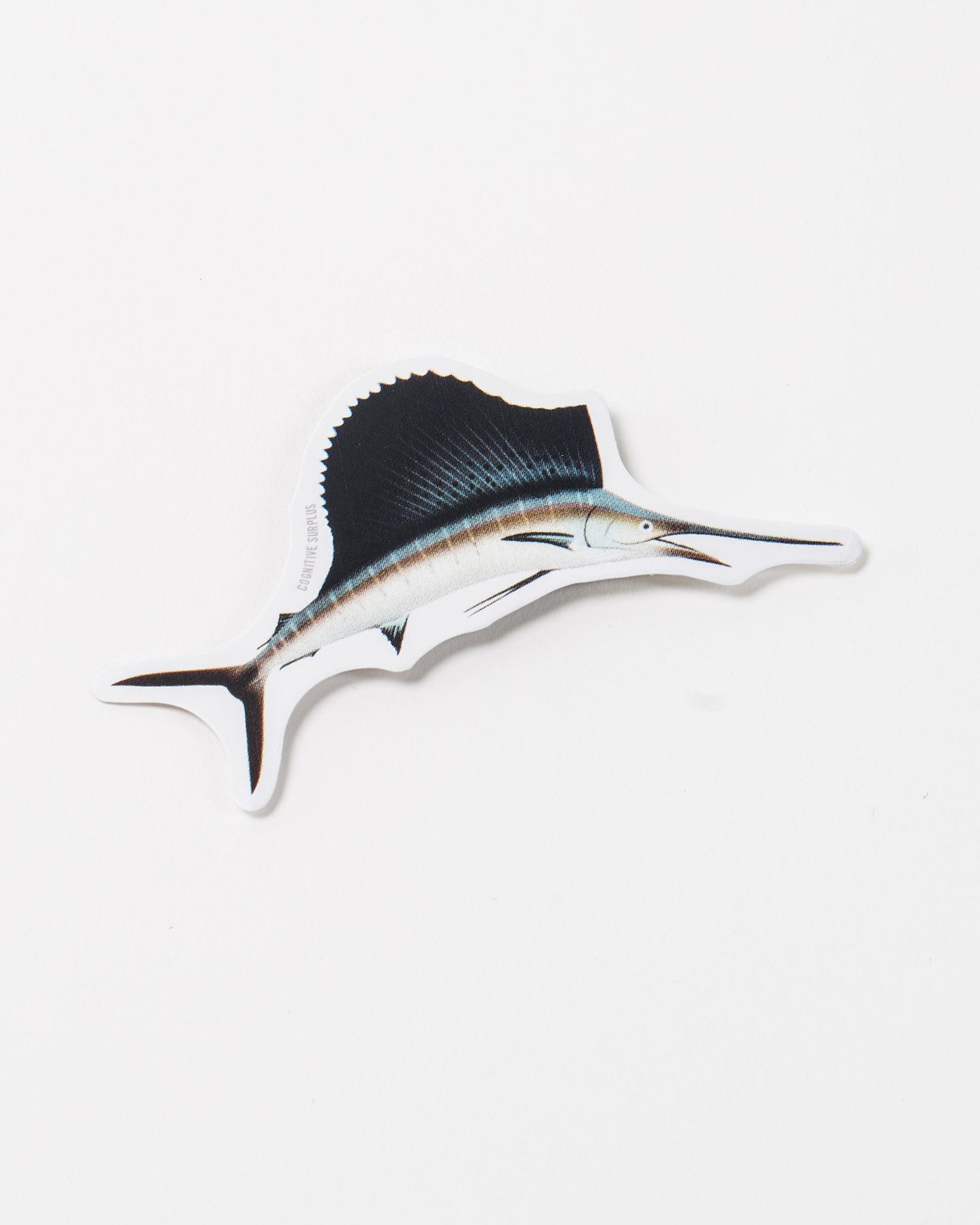 StSailfish_2.jpg