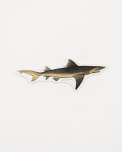 Sand Tiger Shark Sticker (Carcharias taurus)