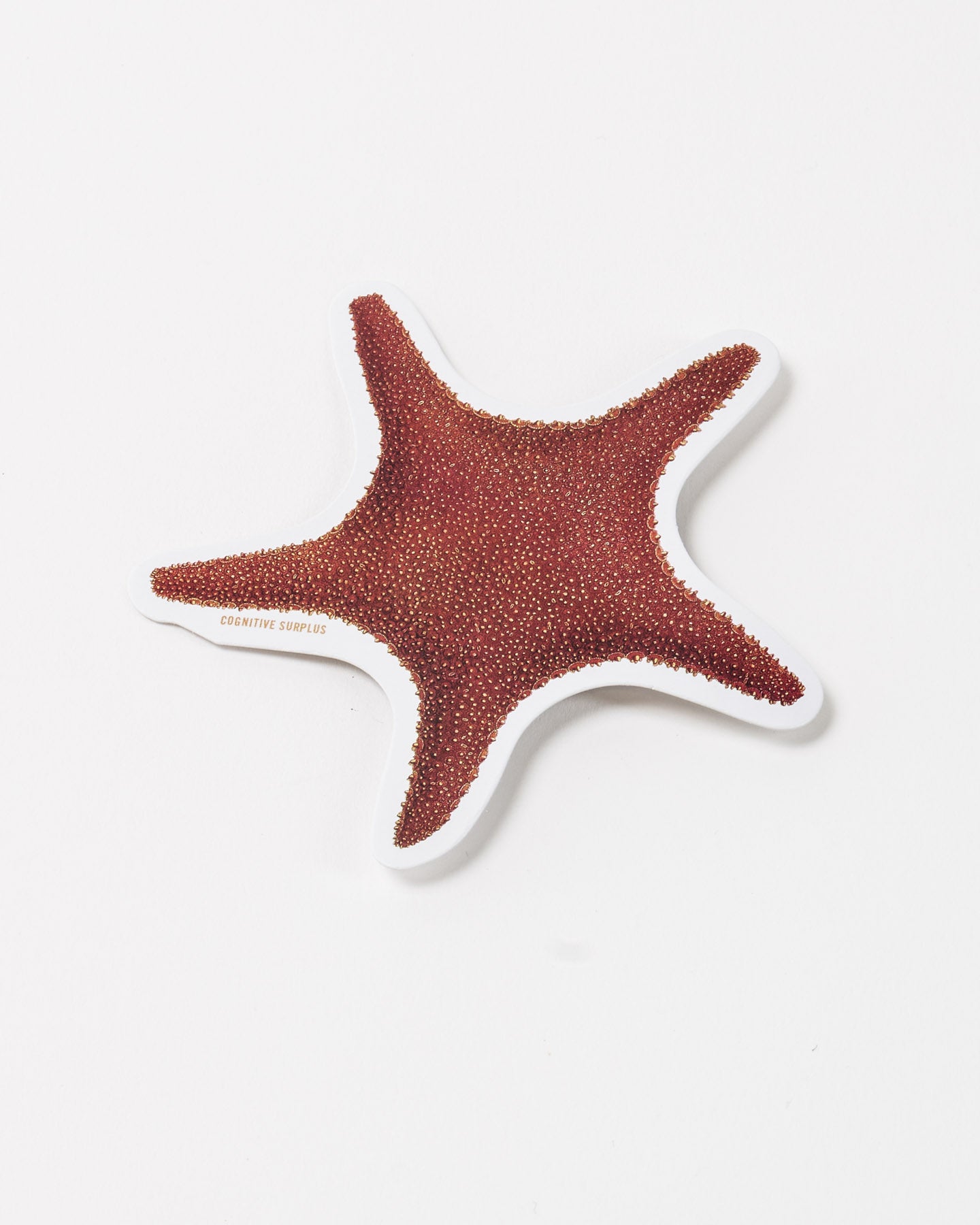 StSeaStar2_2.jpg