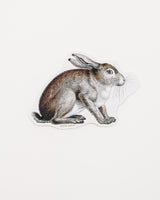 Snowshoe Hare Sticker (Lepus americanus)
