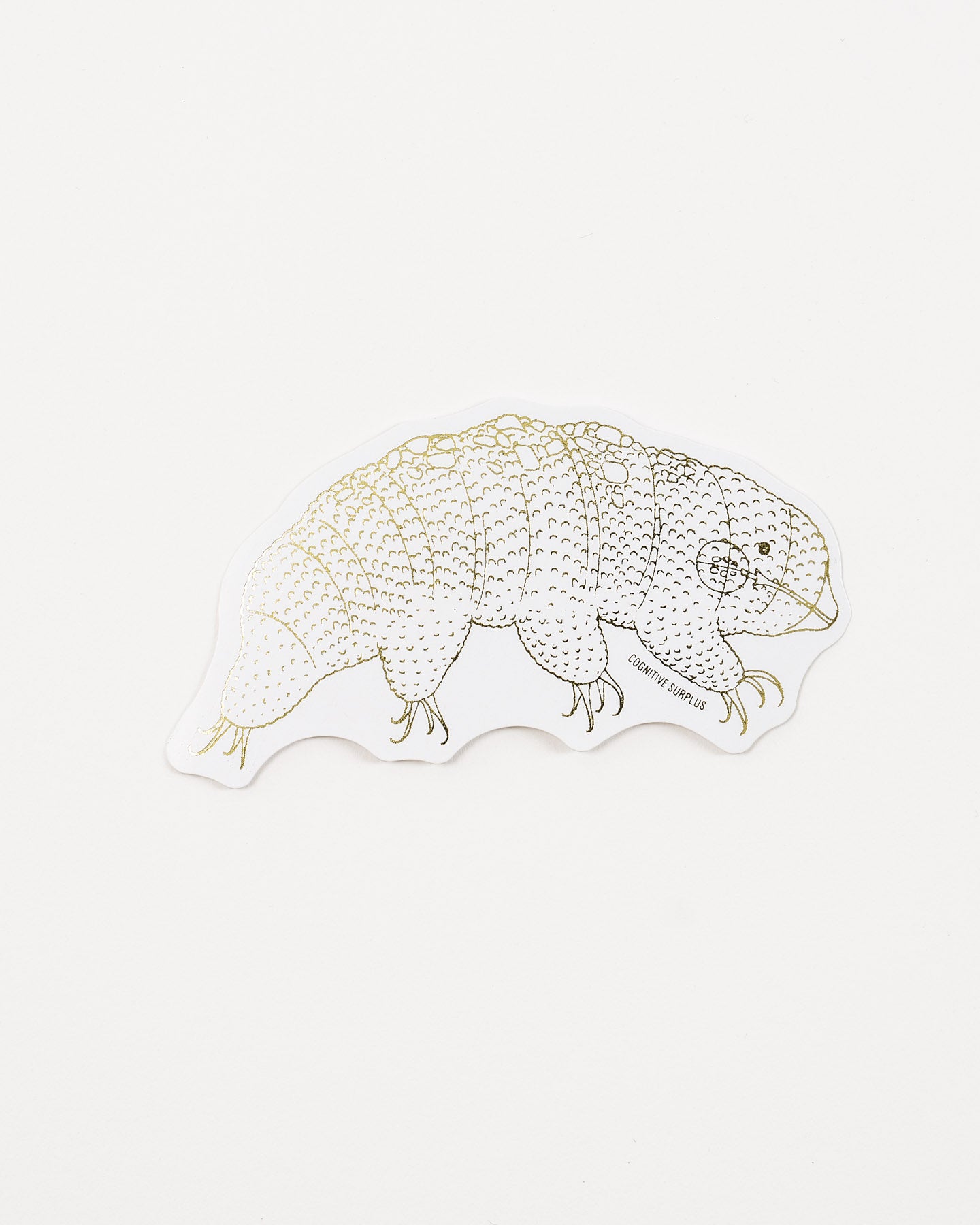 Tardigrade Sticker (Milnesium tardigradum)