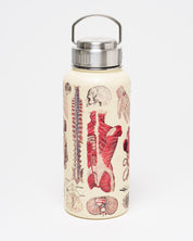 Anatomy 32 oz Steel Bottle