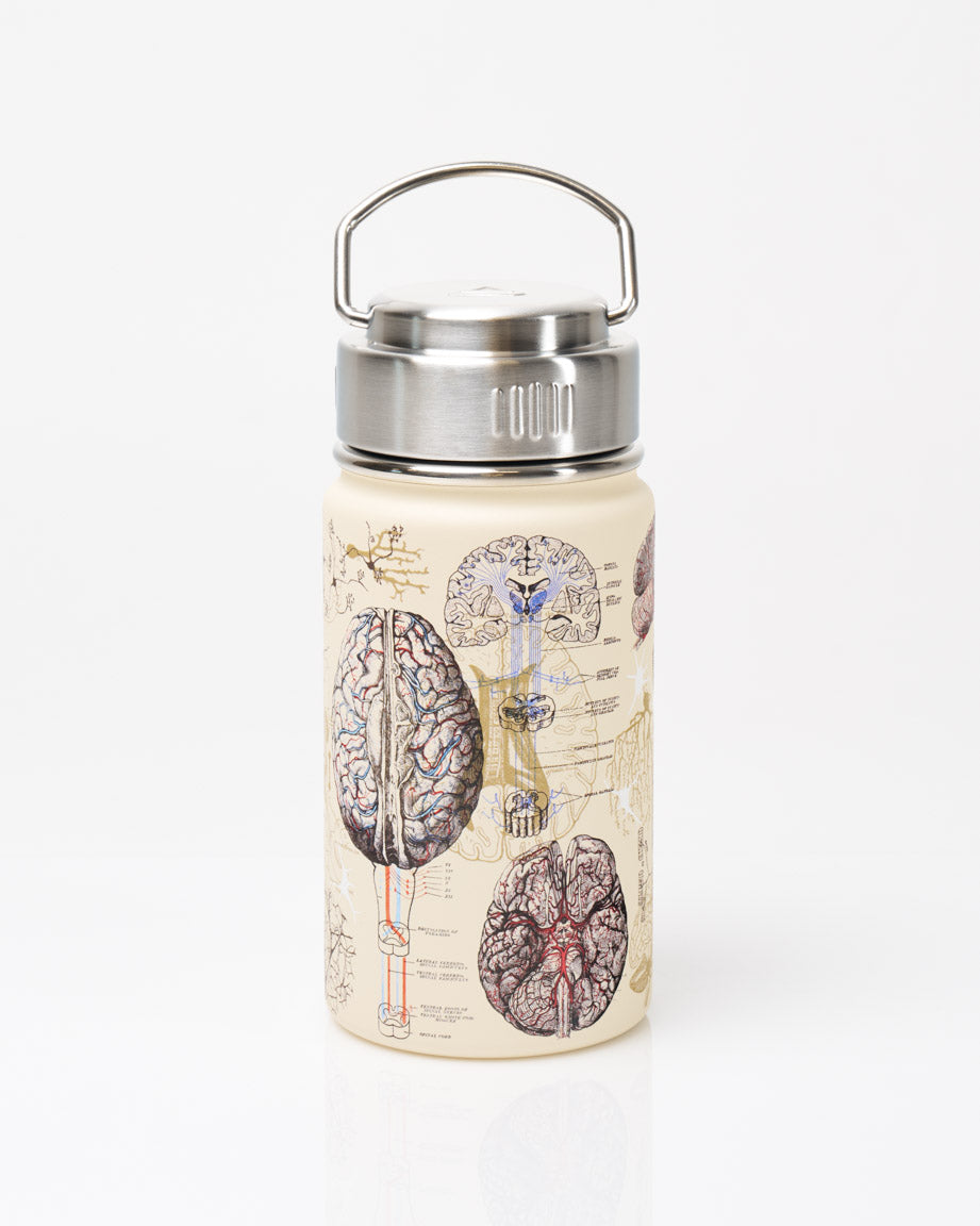 Brain Container Brain & Neuroscience 12 oz Insulated Steel Bottle by Cognitive Surplus