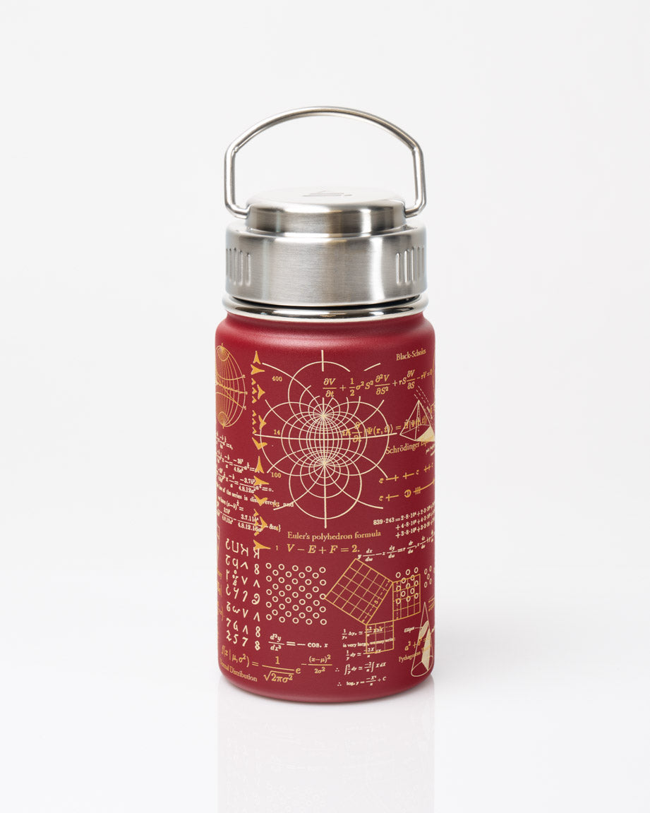 Equations that Changed the World 12 oz Steel Bottle