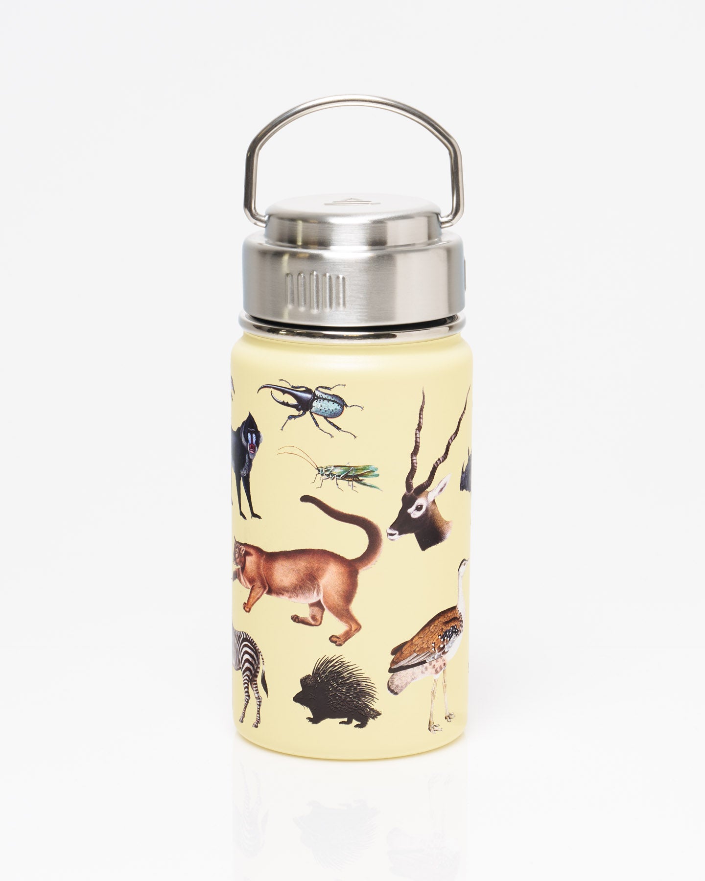 Grassland Zoology 12 oz Steel Bottle