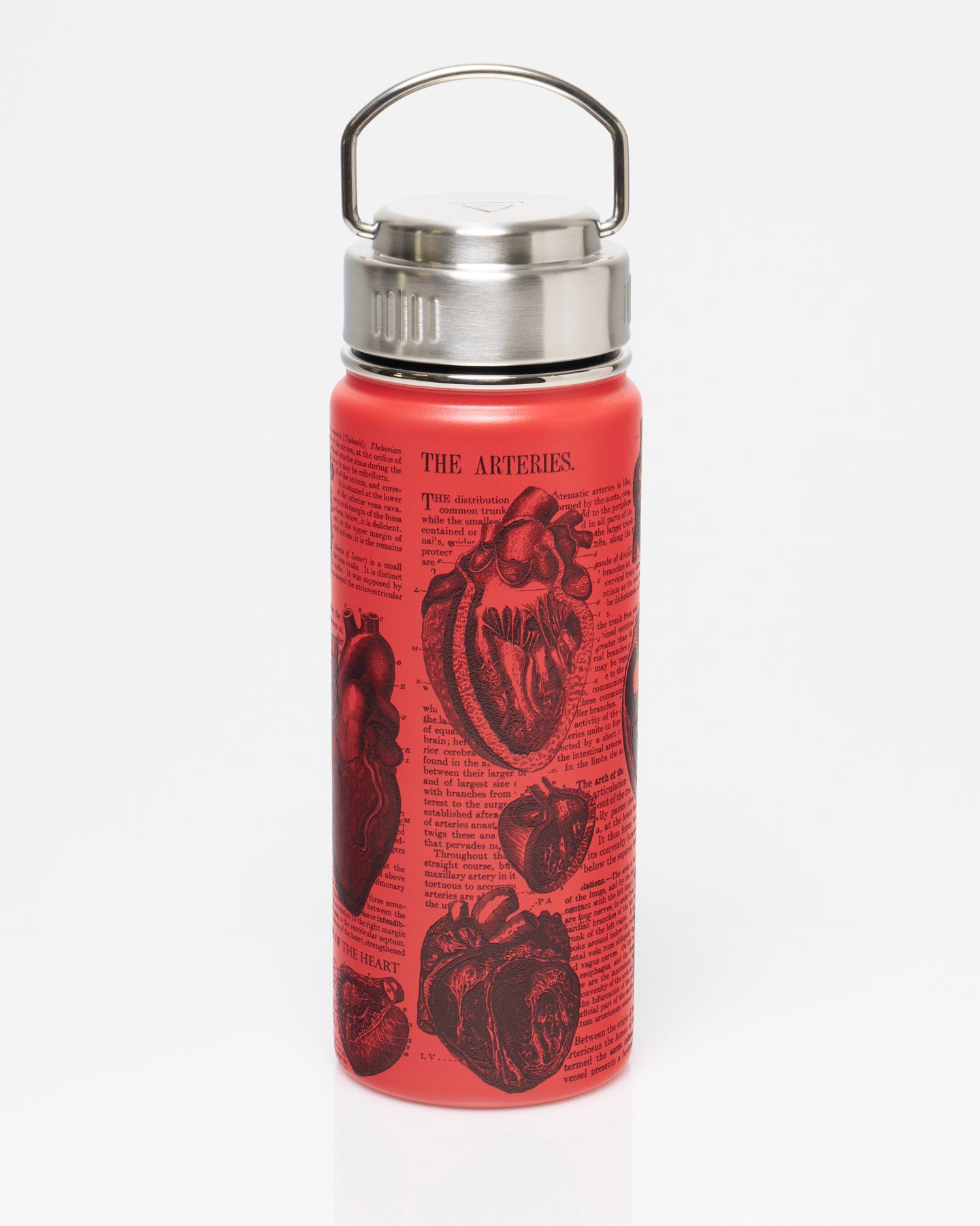 Birds 18 oz. Stainless Steel Water Bottle / Travel Mug | Cognitive