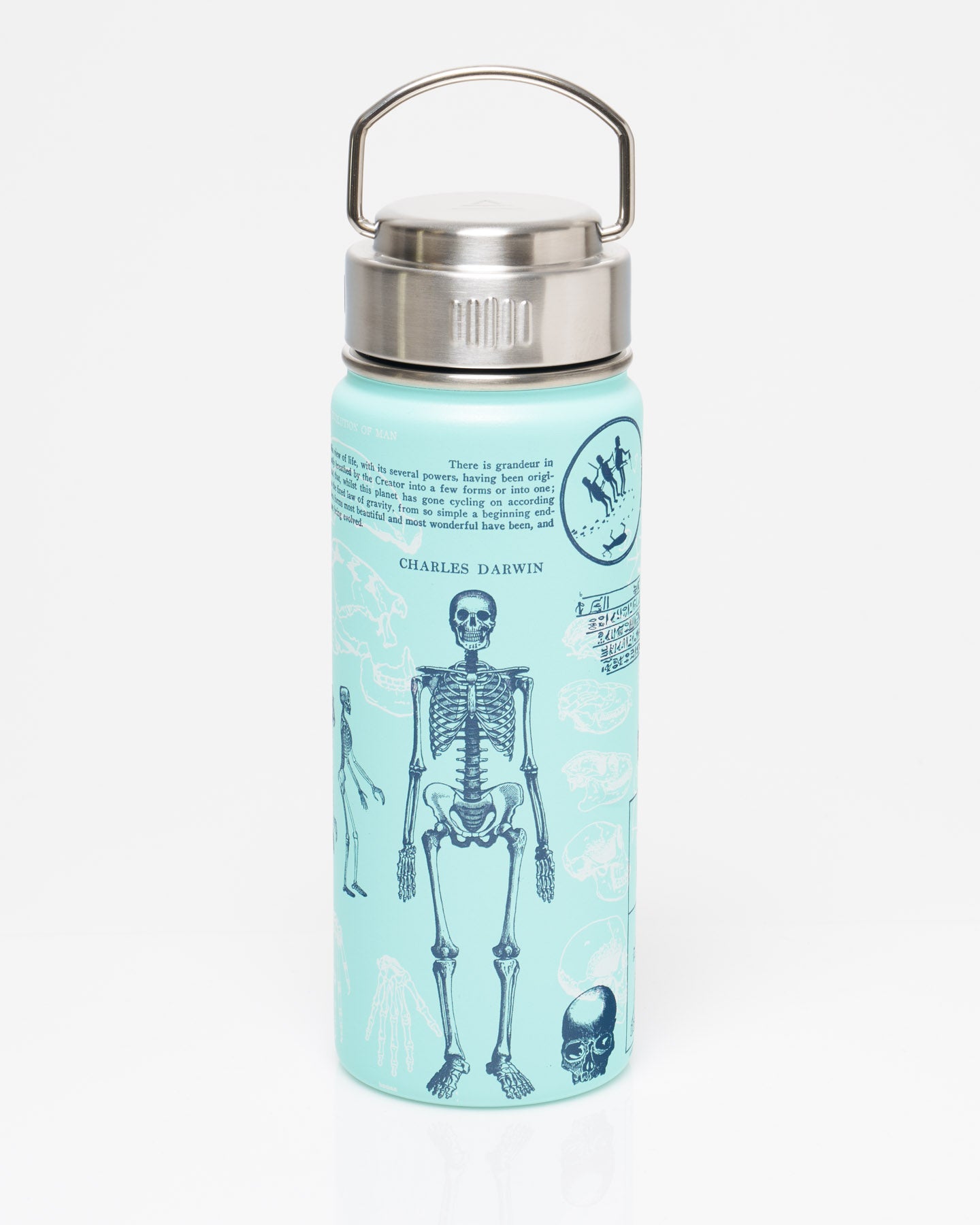 Human Evolution 18 oz Steel Bottle