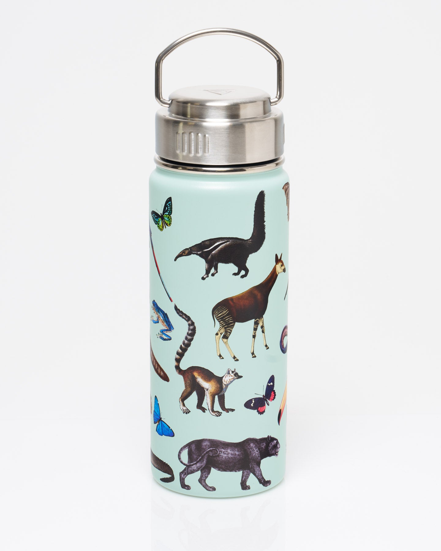 Rainforest Zoology 18 oz Steel Bottle