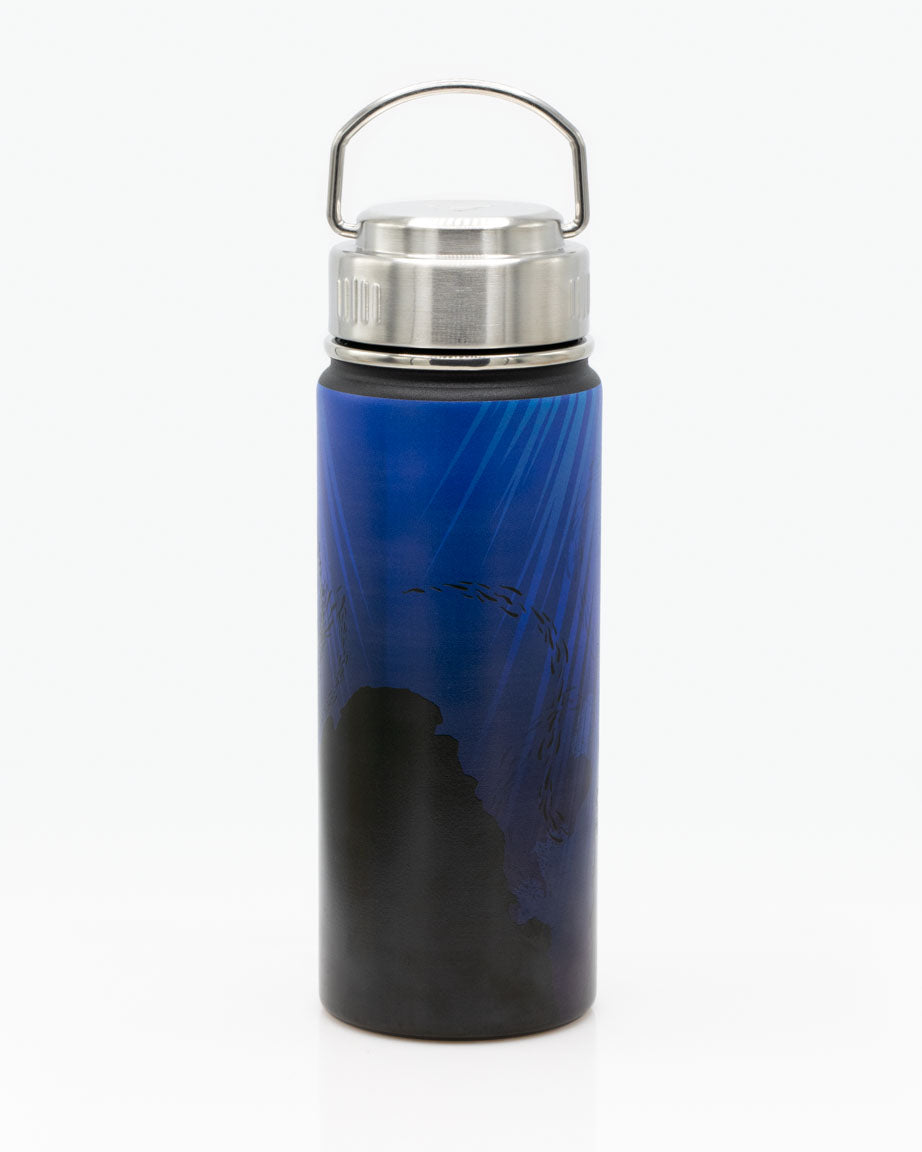 Plywell 16 oz. Blue Stainless Steel Coffee bottle, Tea Infuser
