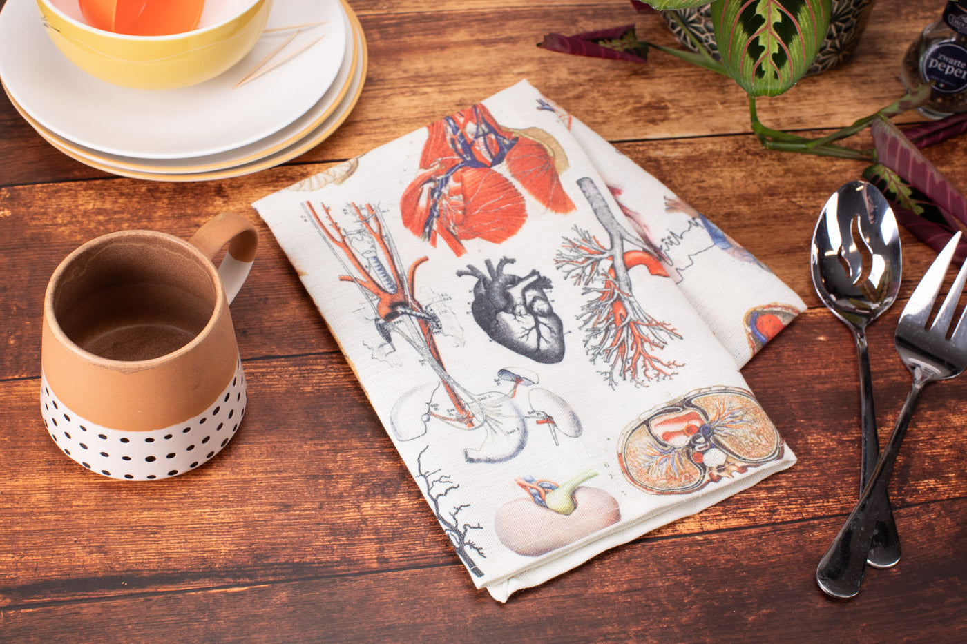 Anatomy Tea Towel