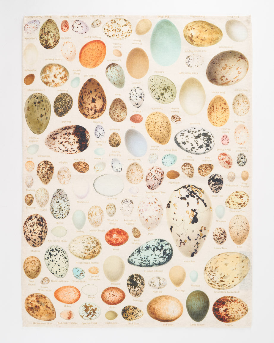 Eggs: Oology Printed Tea Towel | Cognitive Surplus