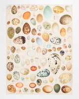 Eggs Tea Towel