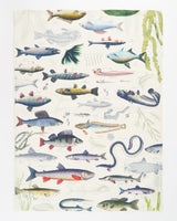 Freshwater Fish Tea Towel