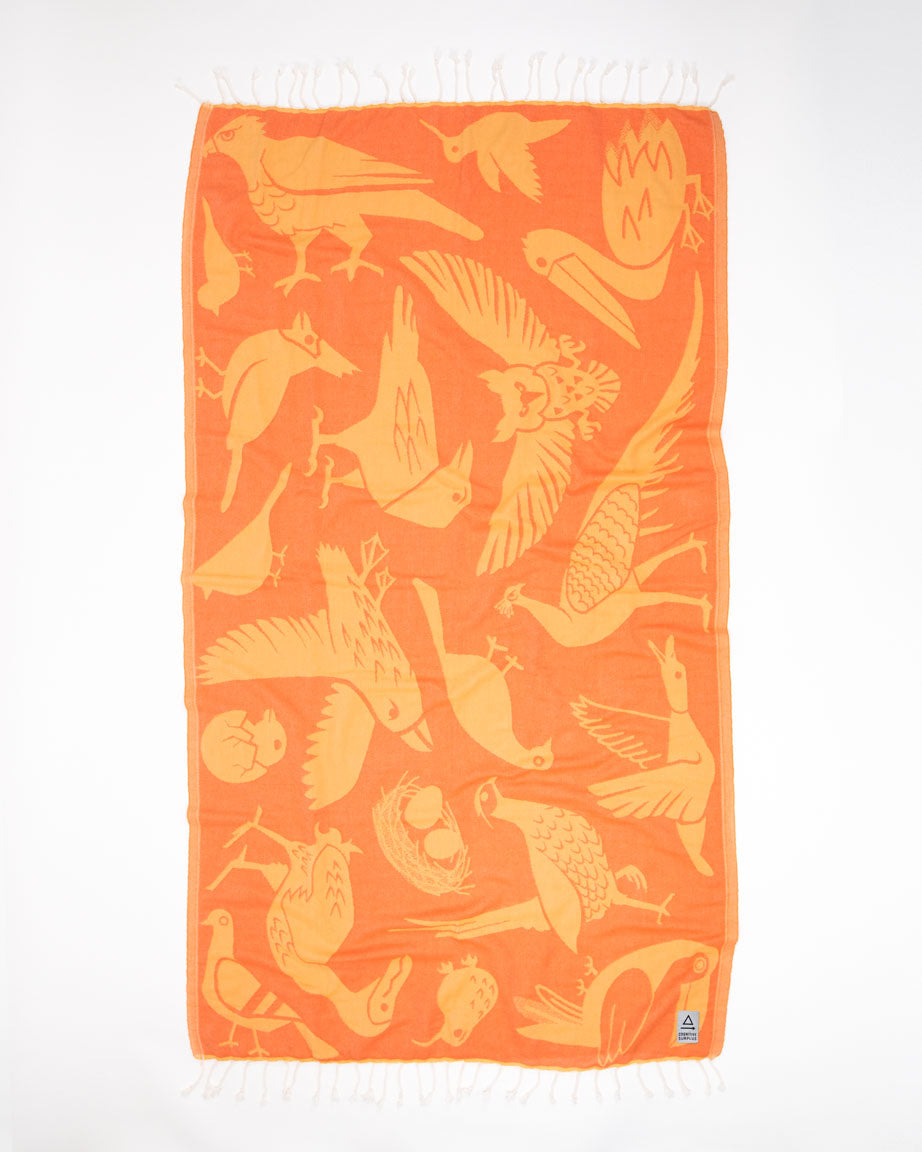 An Feathered Friends: Ornithology Turkish Towel with birds on it. Brand: Cognitive Surplus.