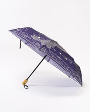 Astronomy Umbrella