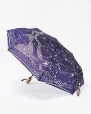 Astronomy Umbrella