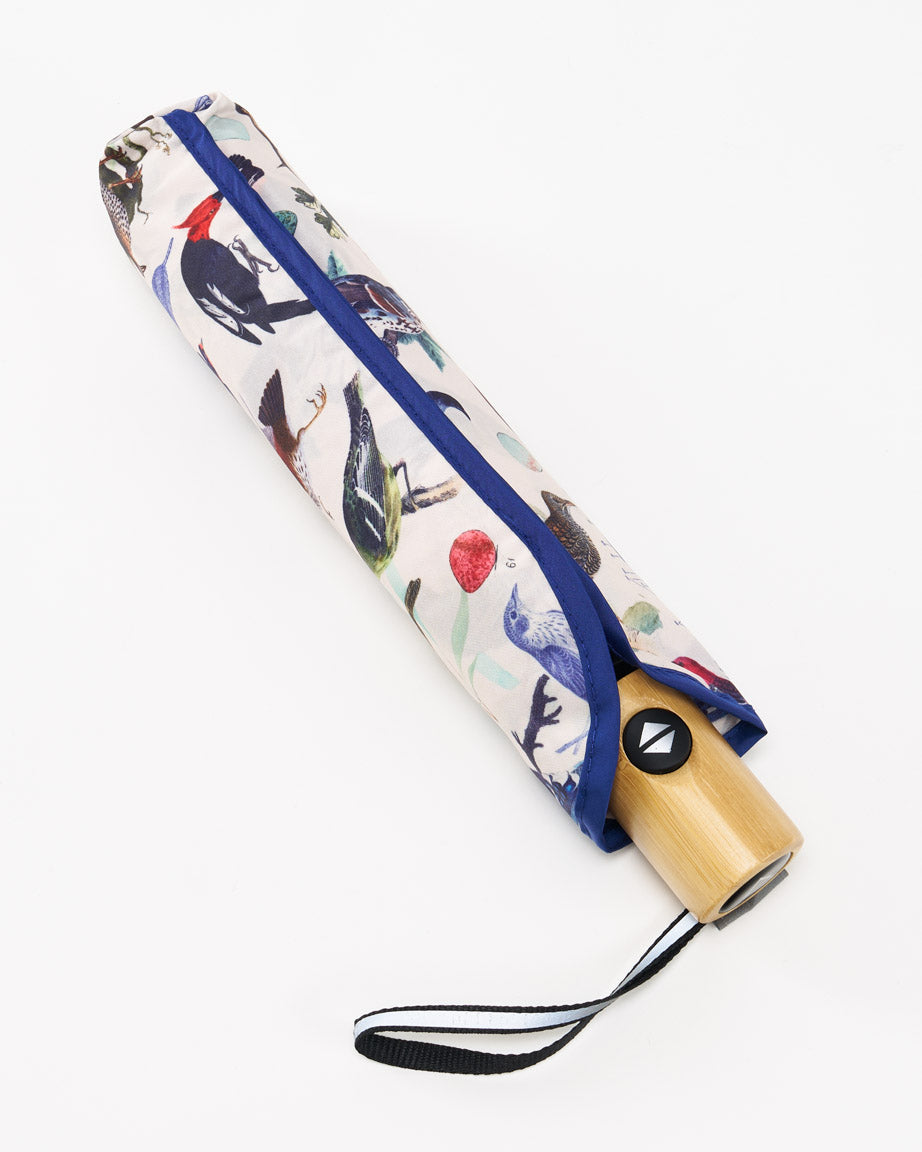Birds Umbrella