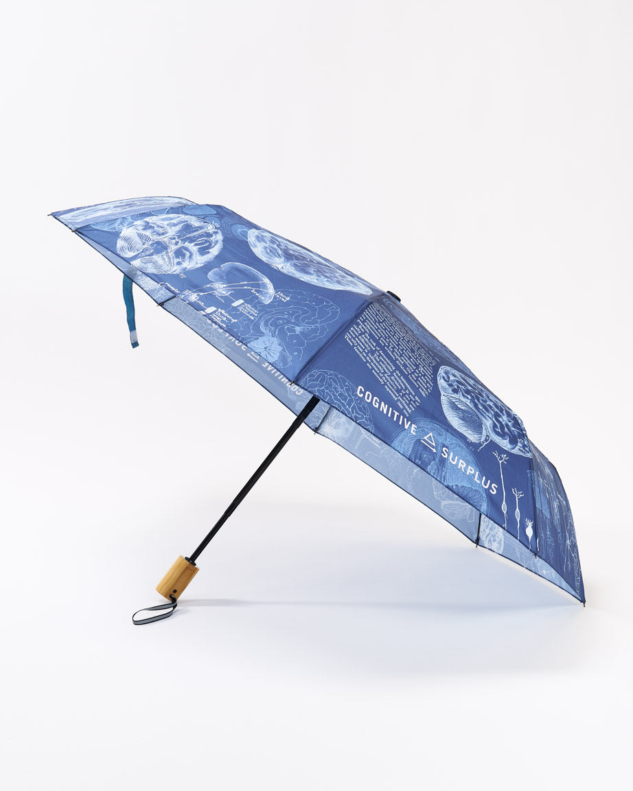Brain Umbrella