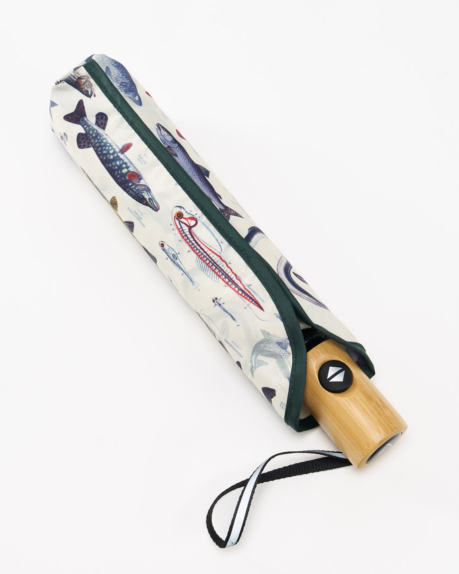 Freshwater Fish Umbrella