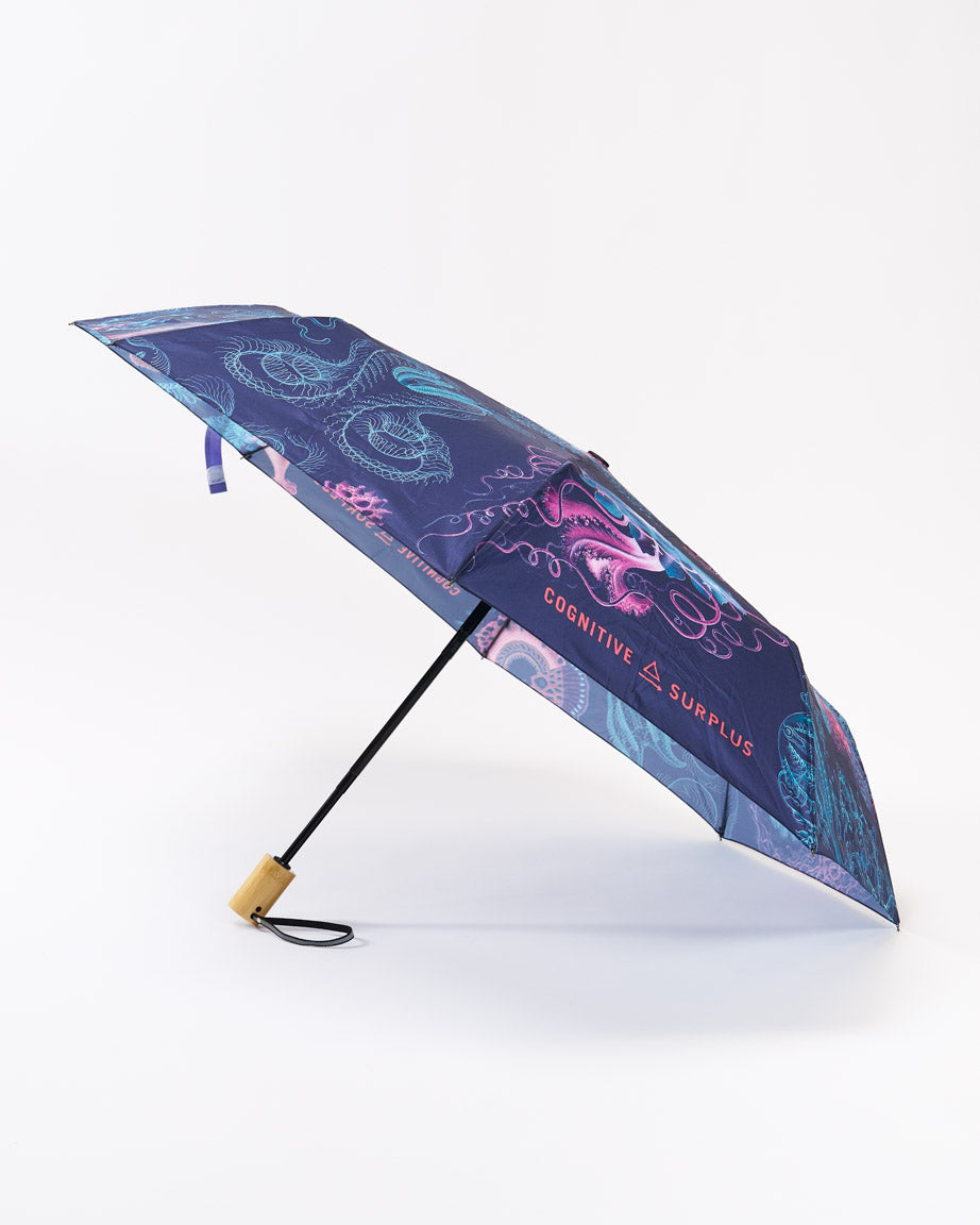 Haeckel Jellyfish Umbrella