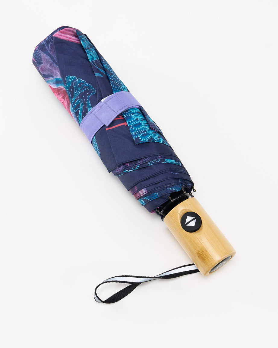 Haeckel Jellyfish Umbrella