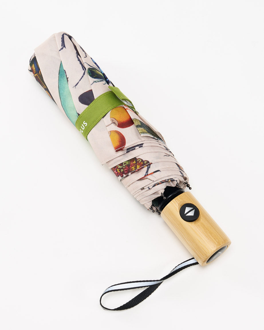 Avid Insect Insect Umbrella – Cognitive Surplus