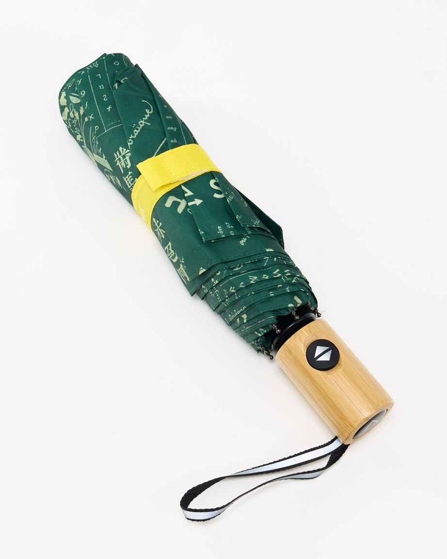 Linguistics Umbrella