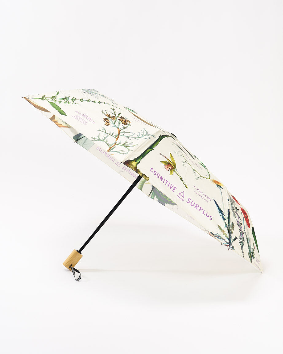 Medicinal Botany Umbrella
