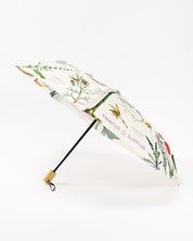 Medicinal Botany Umbrella