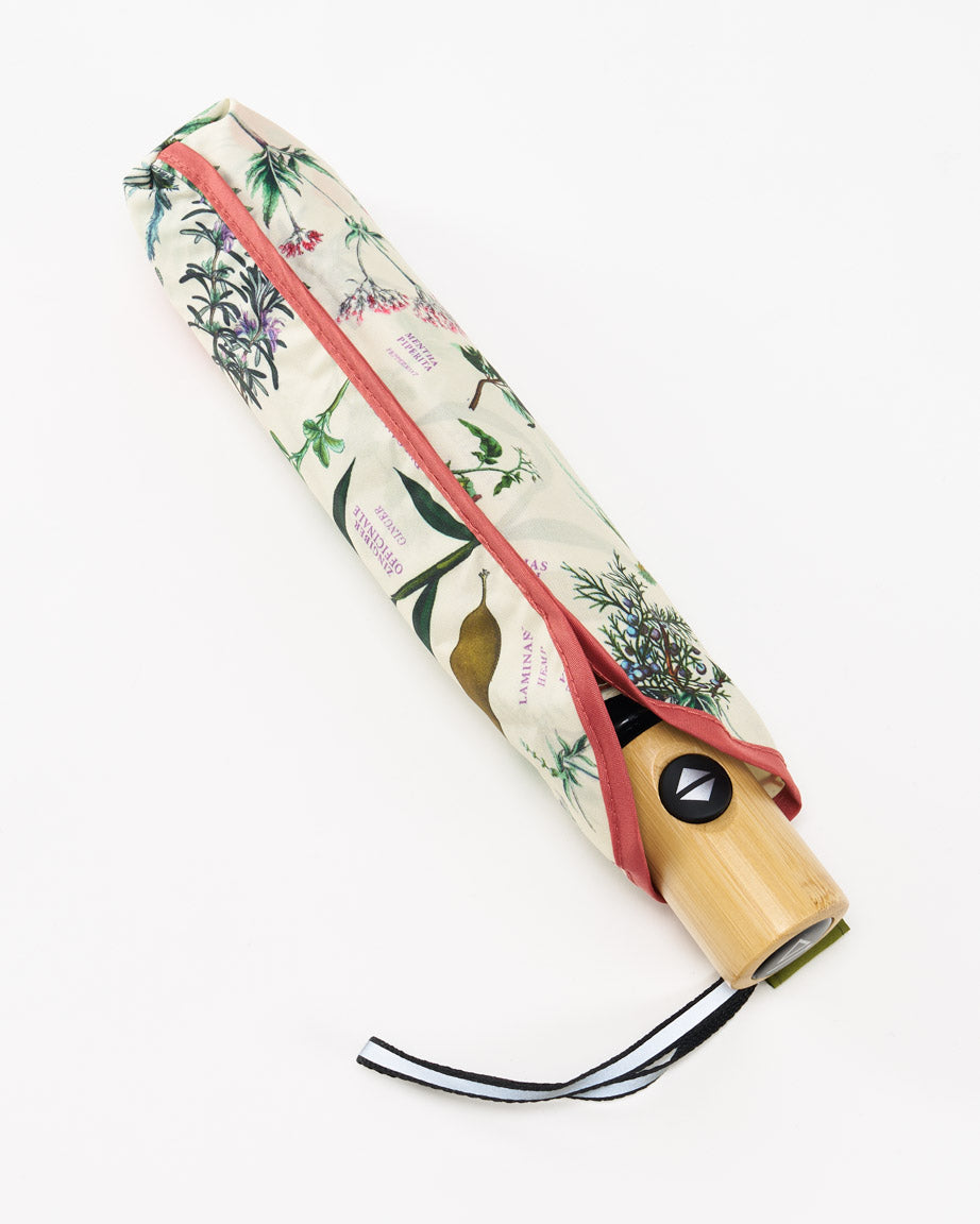 Medicinal Botany Umbrella